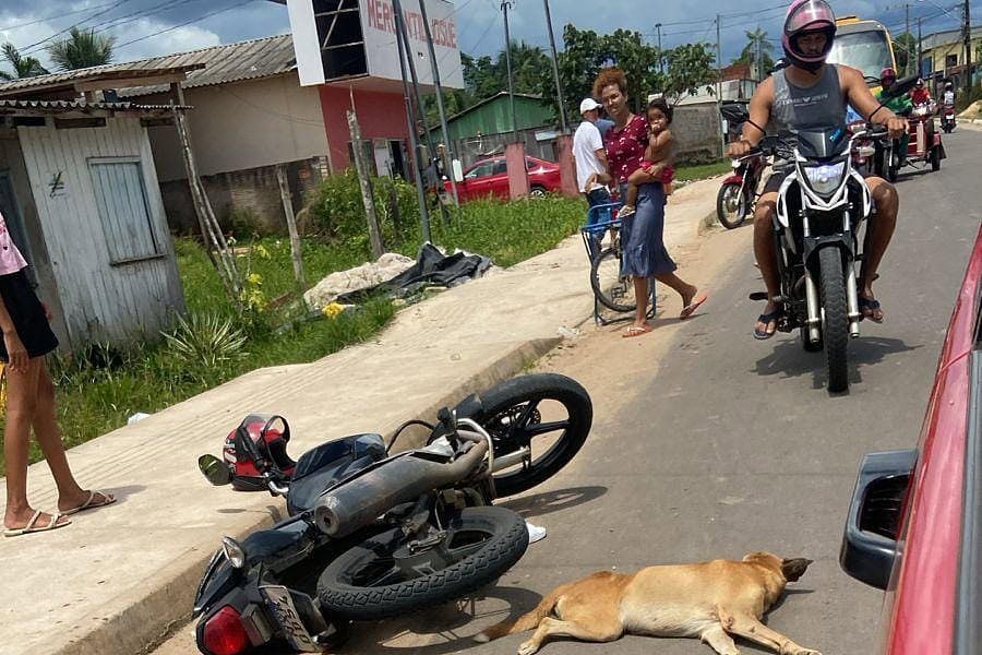 WhatsApp Image 2025-03-18 at 18.34.15 (1)