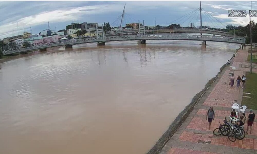 WhatsApp Image 2025-03-18 at 18.36.27