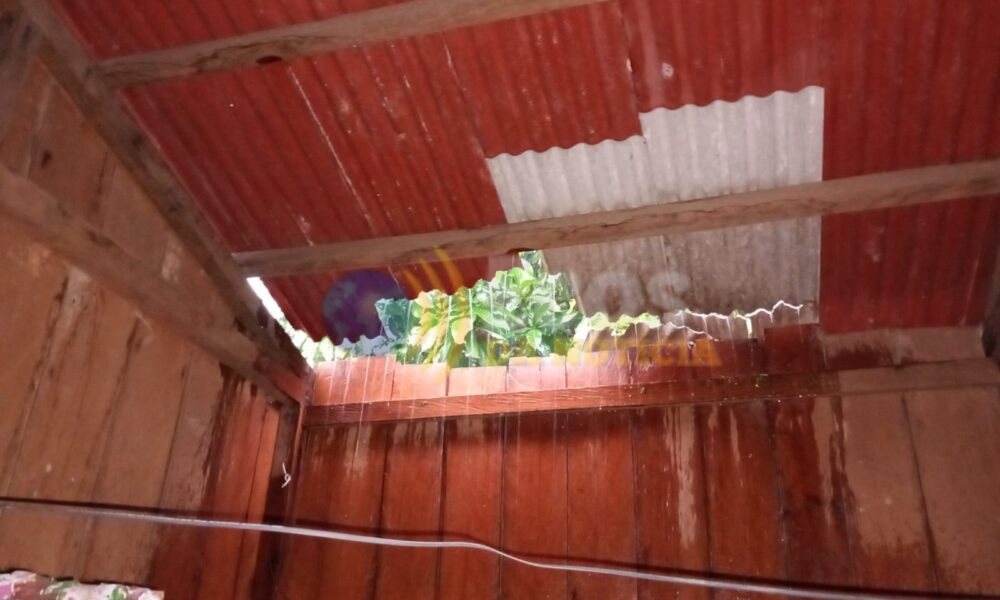 WhatsApp Image 2025-03-18 at 23.33.20