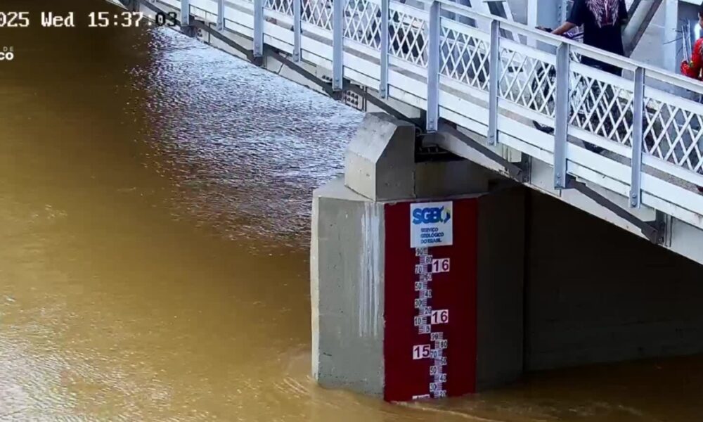 WhatsApp Image 2025-03-19 at 17.37.35