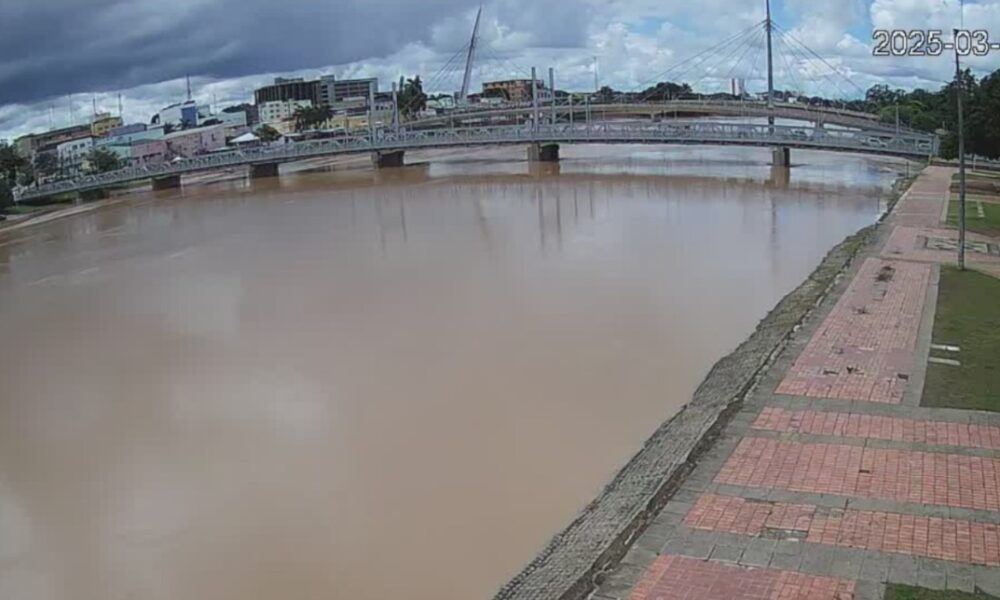 WhatsApp Image 2025-03-20 at 14.54.21 WhatsApp Image 2025-03-20 at 14.54.21