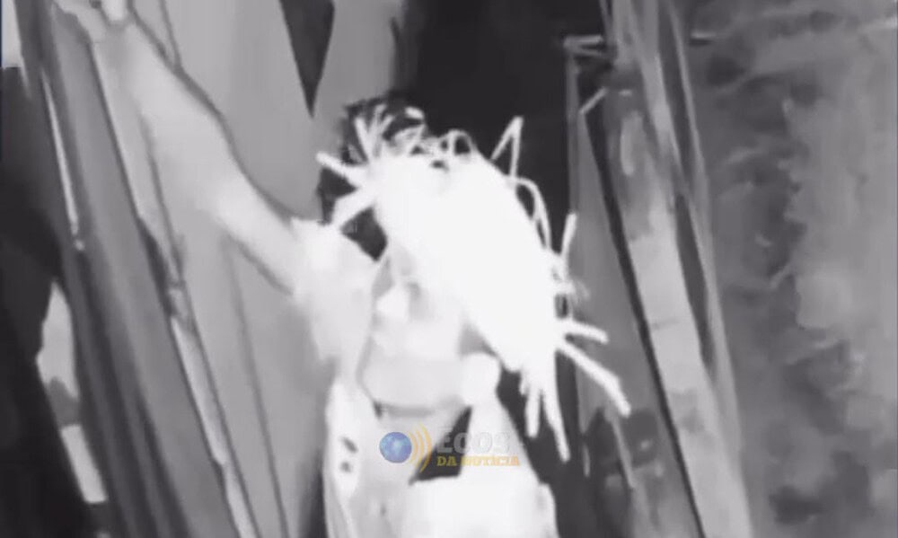 WhatsApp Image 2025-03-20 at 15.24.32 WhatsApp Image 2025-03-20 at 15.24.32