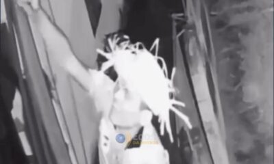 WhatsApp Image 2025-03-20 at 15.24.32 WhatsApp Image 2025-03-20 at 15.24.32