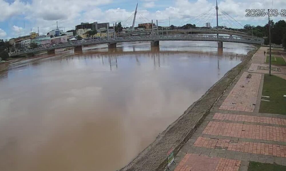 WhatsApp Image 2025-03-22 at 12.40.38