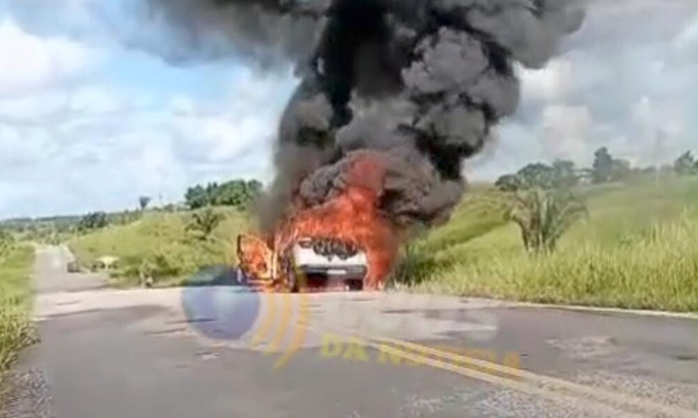 WhatsApp Image 2025-03-24 at 14.01.27 WhatsApp Image 2025-03-24 at 14.01.27