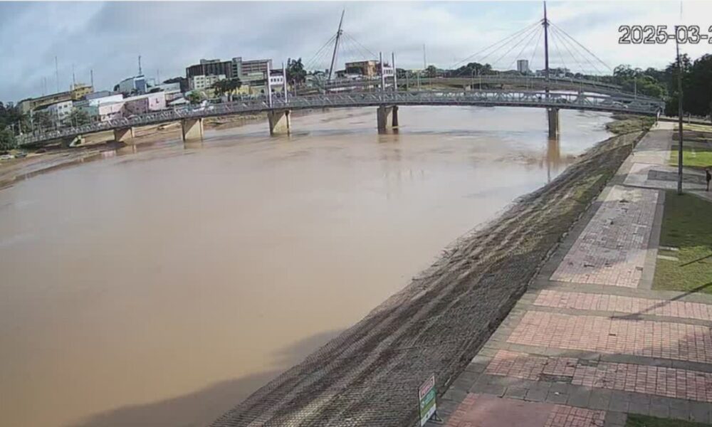 WhatsApp Image 2025-03-25 at 09.18.24