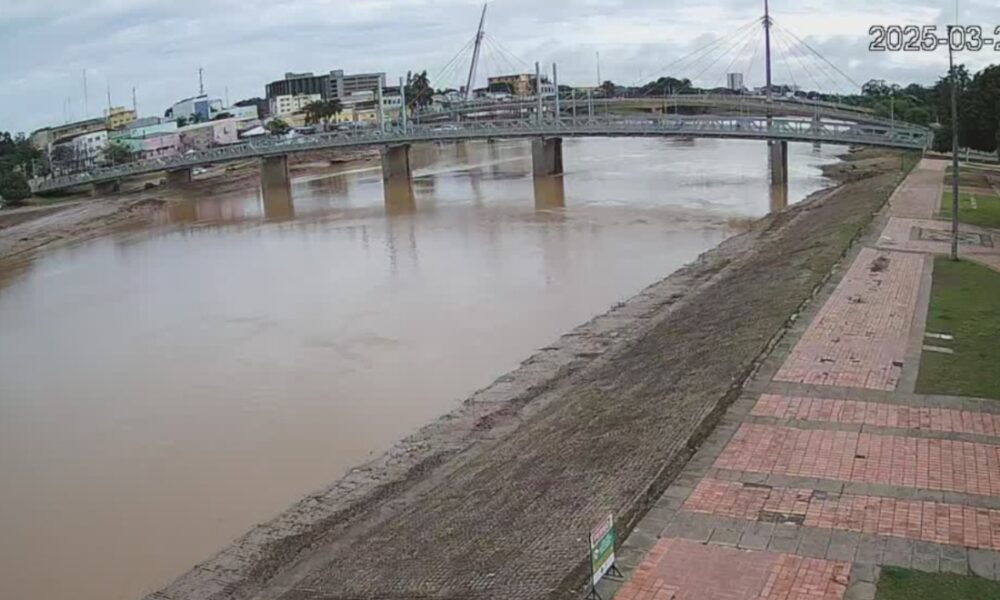 WhatsApp Image 2025-03-27 at 09.47.25