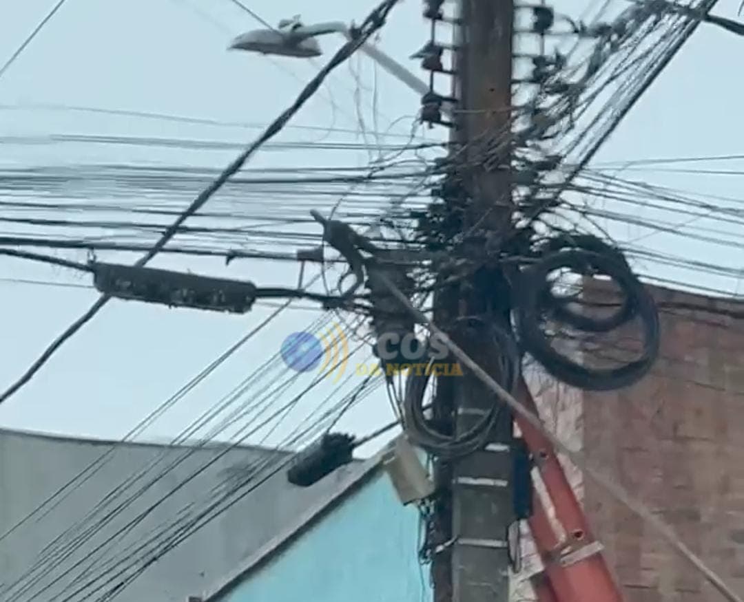 Cobra é flagrada entre fios elétricos em Manoel Urbano; veja vídeo
