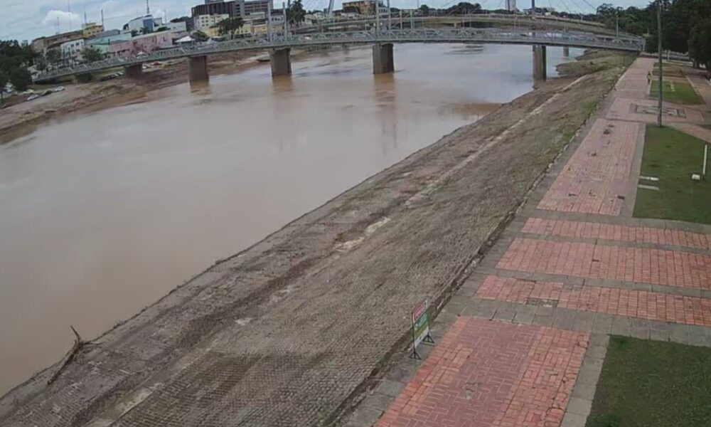 WhatsApp Image 2025-03-28 at 13.41.51