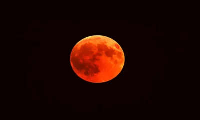 beautiful-shot-red-moon-with-black-night-sky-1-1024×596 A lua ficará completamente avermelhada, formando a conhecida “Lua de sangue” (Foto: Reprodução/Freepik)