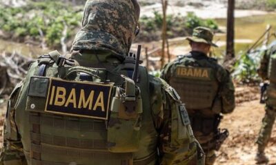 concurso-ibama concurso-ibama