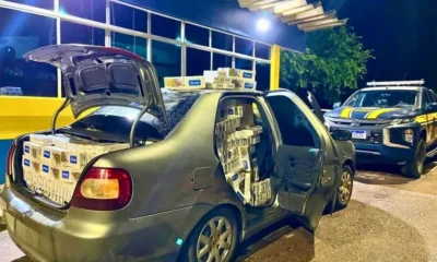 d90302ea-bd65-4a1a-bb01-05489355483b d90302ea-bd65-4a1a-bb01-05489355483b