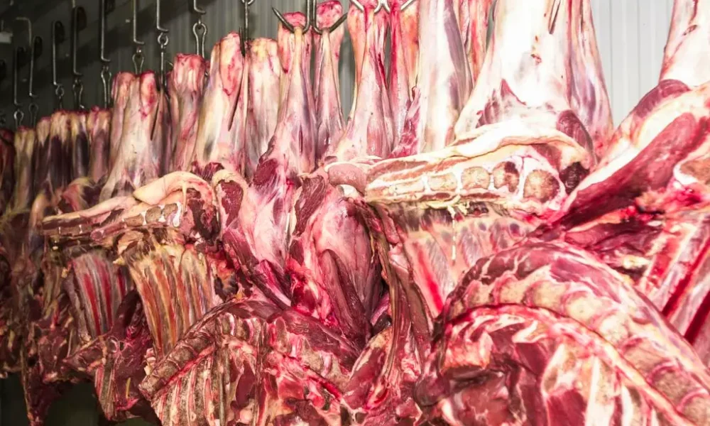 edit_mca_df_060120045227