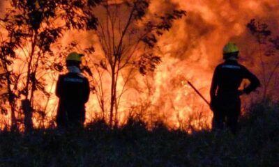 fogo-queimadas-bombeiros fogo-queimadas-bombeiros