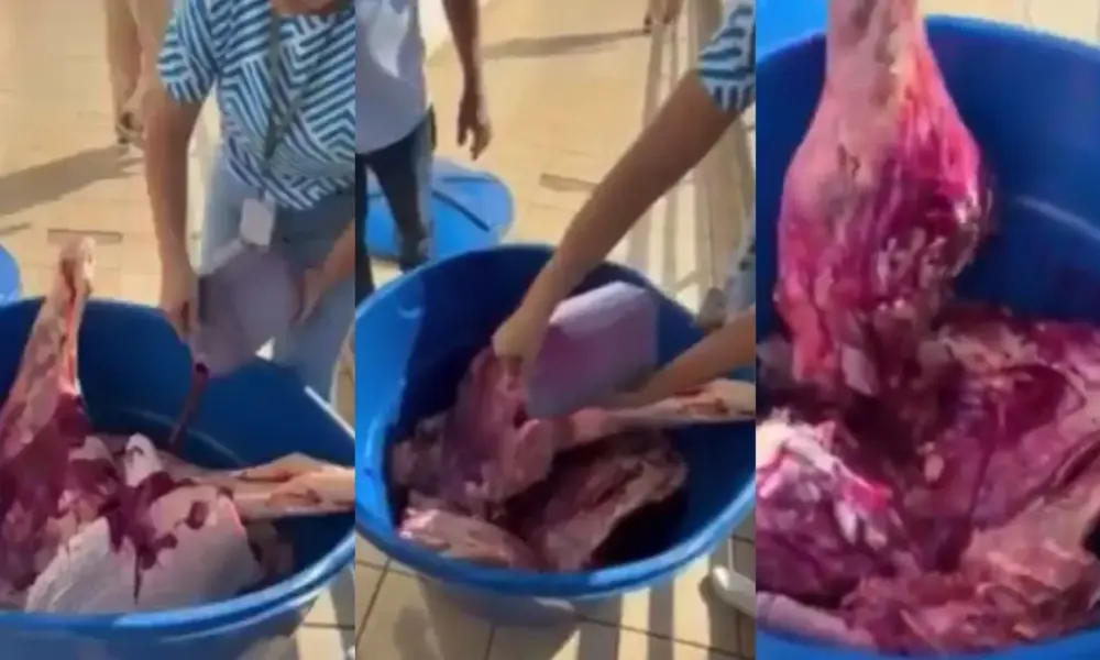 A ação, que ocorreu entre os dias 24 e 26 de março, apreendeu diversas irregularidades em 17 supermercados, açougues e restaurantes das cidades de Seara e Xavantina • Reprodução