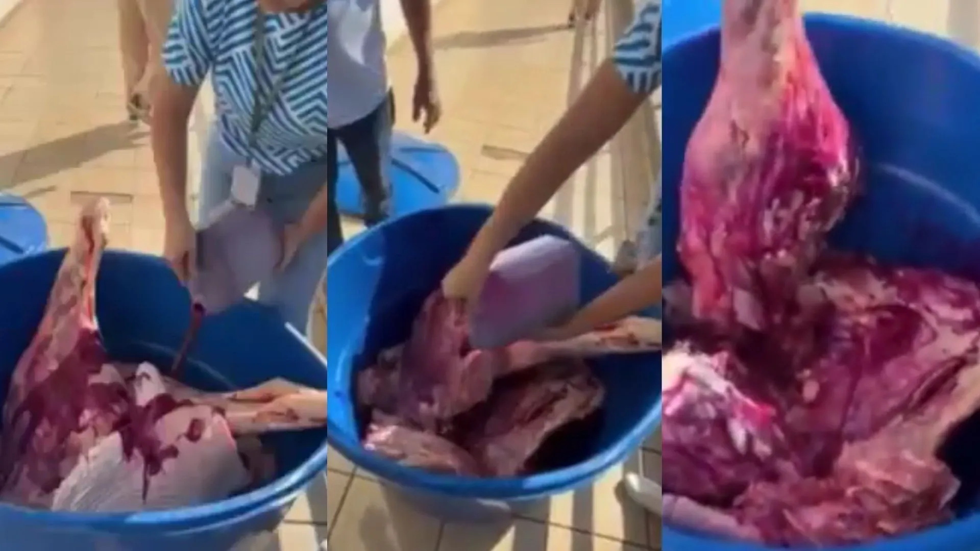 Carne estragada era pintada com corante vermelho para parecer fresca em SC