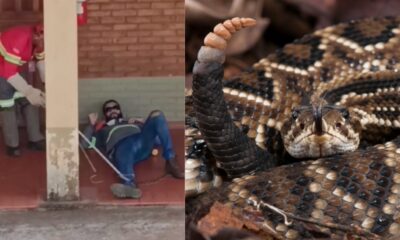 BeFunky-collage-2025-04-03T201144.366