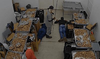 Funcionários são obrigados a deitar no chão sob ameaça de arma de fogo enquanto o trio realiza o assalto. Foto: cedida.