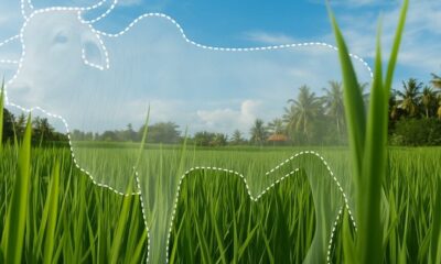 ChatGPT-Image-4-de-abr.-de-2025-19_47_44-860×860 Nova portaria do Idaf obriga pecuaristas a registrar documentação em cartório para validar cadastro de rebanhos.