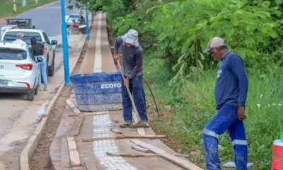 Bruna Giovanna/Secom