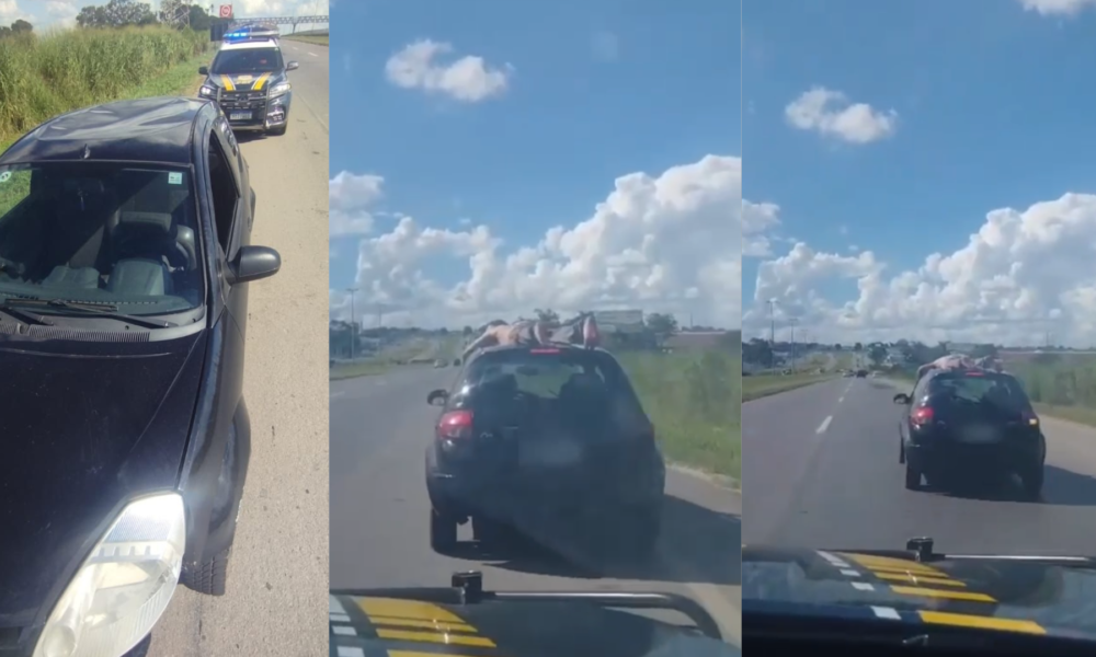 O condutor afirmou que o passageiro tem problemas mentais. • Divulgação/PRF