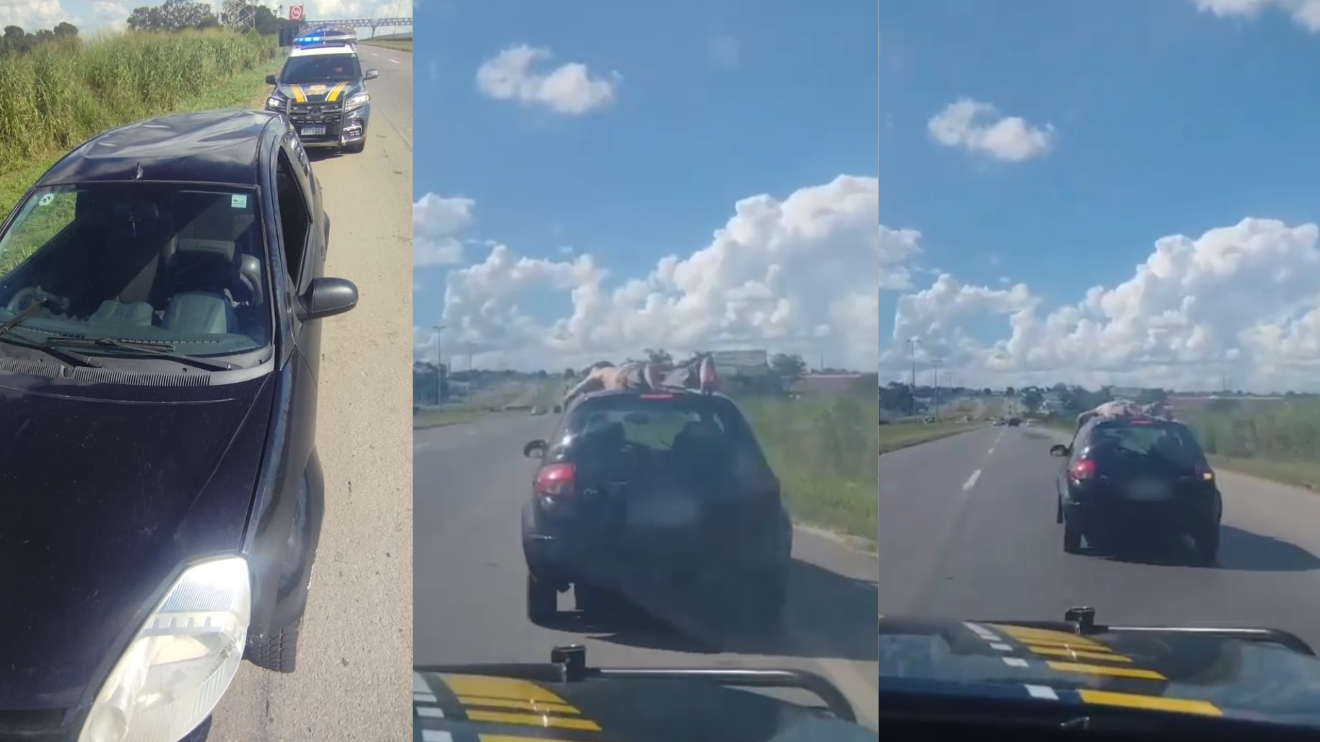 Homem é flagrado pelado em teto de carro a mais de 100 km/h em Goiás; veja vídeo