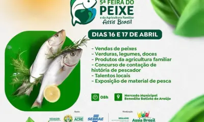 DESTA.-3-520X752 DESTA.-3-520X752