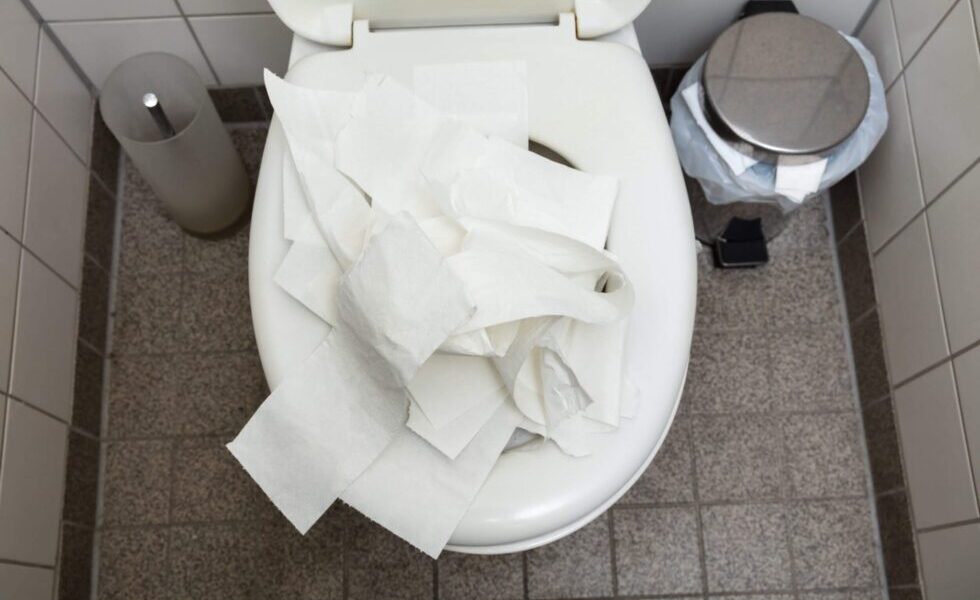 HGF-2-980×653 Imagem ilustrativa de vaso sanitário