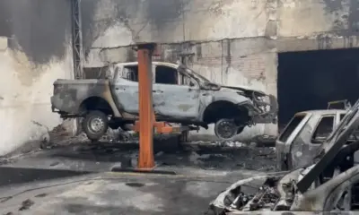 IMG_0868-1000×600 IMG_0868-1000x600