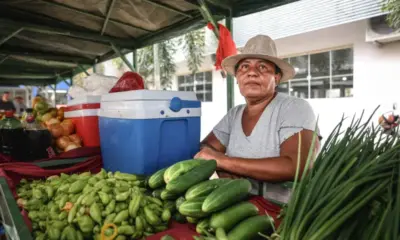 IMG_6905-1000×600 IMG_6905-1000x600