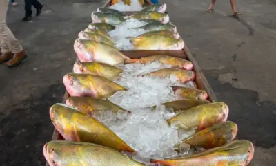 Imagem-do-WhatsApp-de-2025-04-08-as-12.01.49_d01acc30-1000x600