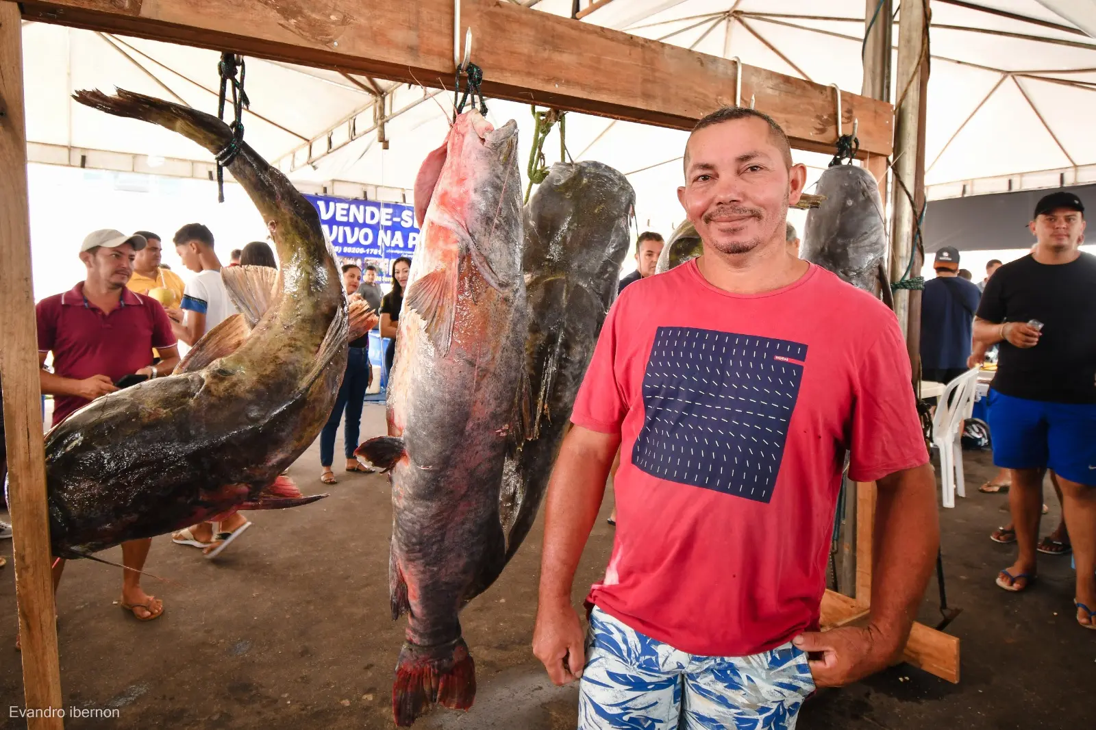 Pescador vence concurso de maior peixe com Jundiá de 52 quilos em Mâncio Lima