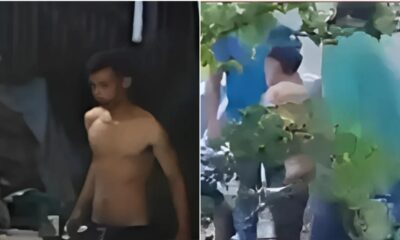 WhatsApp Image 2025-04-01 at 15.50.29 WhatsApp Image 2025-04-01 at 15.50.29