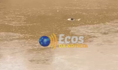 WhatsApp Image 2025-04-04 at 16.15.11 WhatsApp Image 2025-04-04 at 16.15.11