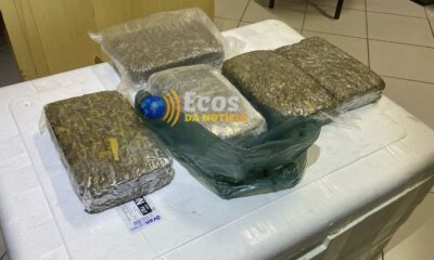 WhatsApp Image 2025-04-09 at 13.31.41