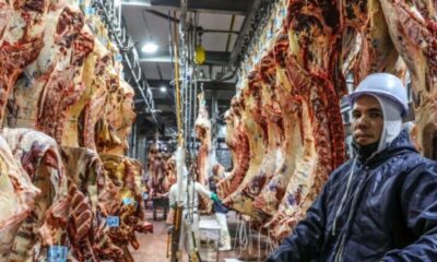 WhatsApp Image 2025-04-10 at 14.36.49