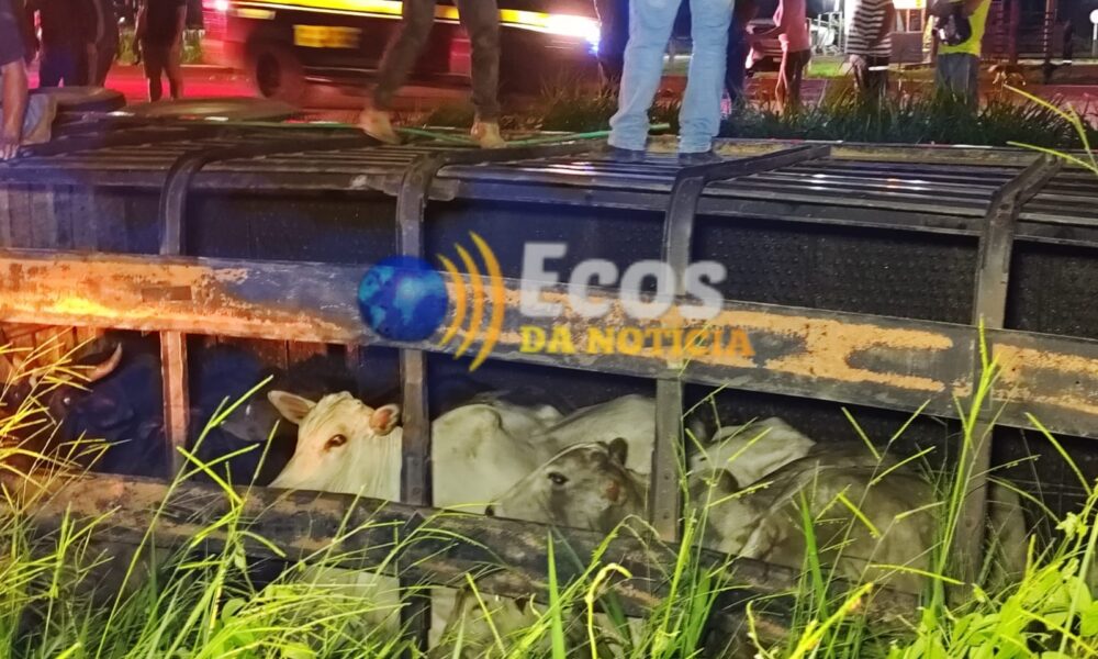 WhatsApp Image 2025-04-21 at 21.23.49