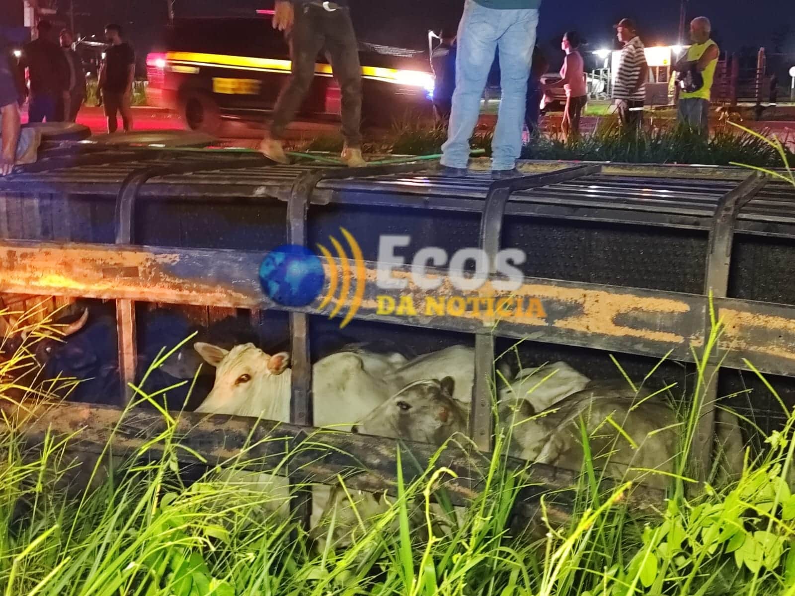 Motorista perde controle de caminhão boiadeiro e tomba na Via Verde