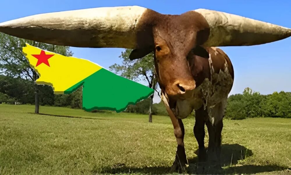 WhatsApp Image 2025-04-25 at 09.49.47 WhatsApp Image 2025-04-25 at 09.49.47