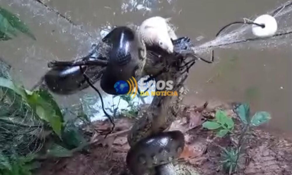 WhatsApp Image 2025-04-25 at 17.14.21 WhatsApp Image 2025-04-25 at 17.14.21