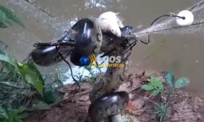 WhatsApp Image 2025-04-25 at 17.14.21