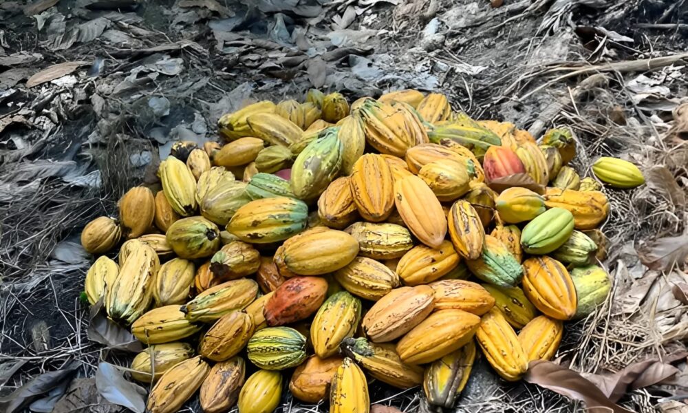 WhatsApp Image 2025-04-27 at 11.20.46 WhatsApp Image 2025-04-27 at 11.20.46