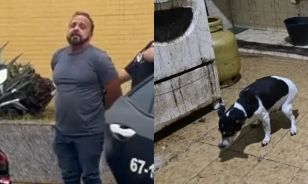 Além dos cachorros mortos no congelador, também foram encontrados animais vivos na casa do médico (Foto: Divulgação/PCRJ)