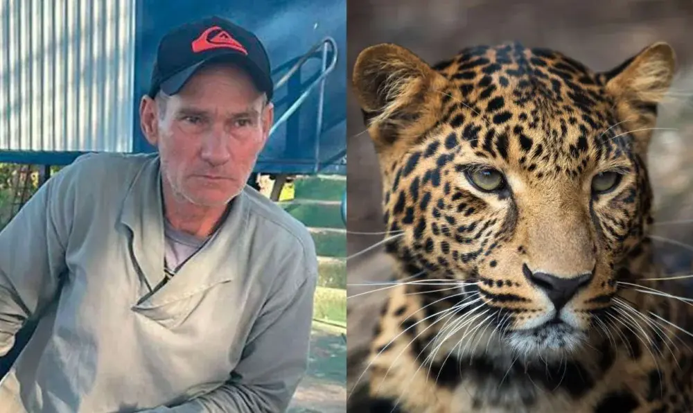 A localização do corpo foi possível graças às marcas deixadas pelo felino na vegetação (Foto: Reprodução – Freepik)