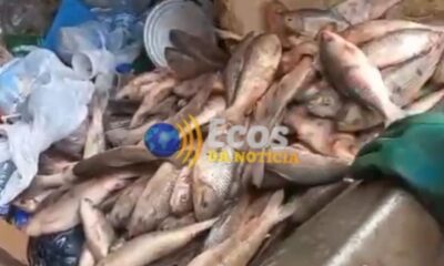 peixeestragado