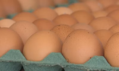 — Foto: Caminhos do Campo/RPC