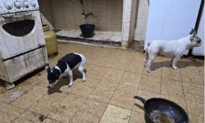 18f0c1f8ede75771f3b3f457b56395aa