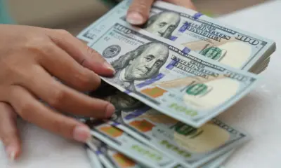 430984483 430984483