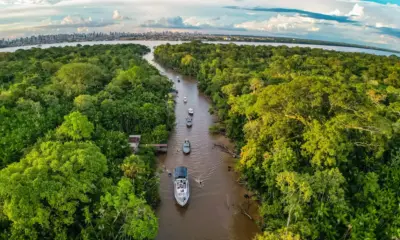 53613867859_ccb1e7eaa2_o