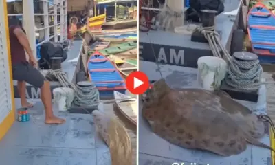 ACRE-976x695_IMAGEM-DESTACADA-28-1-976x600